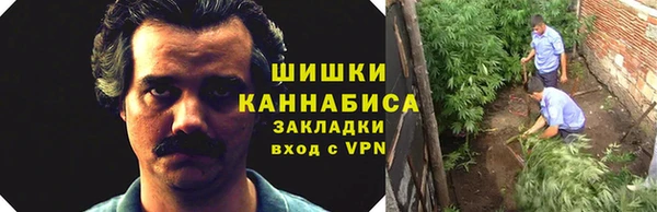 молекула духа Белоозёрский