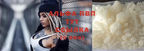 молекула духа Белоозёрский