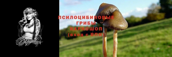 молекула духа Белоозёрский