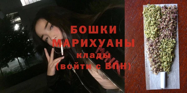 молекула духа Белоозёрский