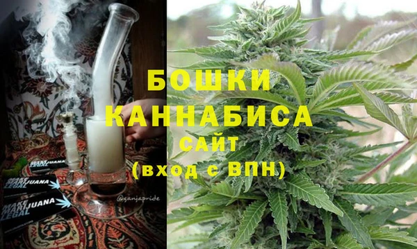 молекула духа Белоозёрский