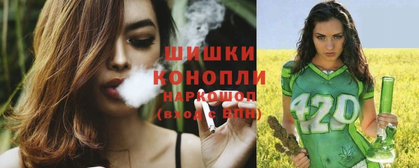 молекула духа Белоозёрский