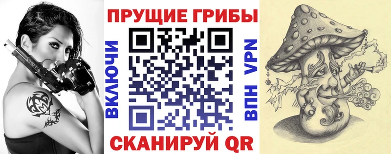 Псилоцибиновые грибы Cubensis  цена   Вятские Поляны 